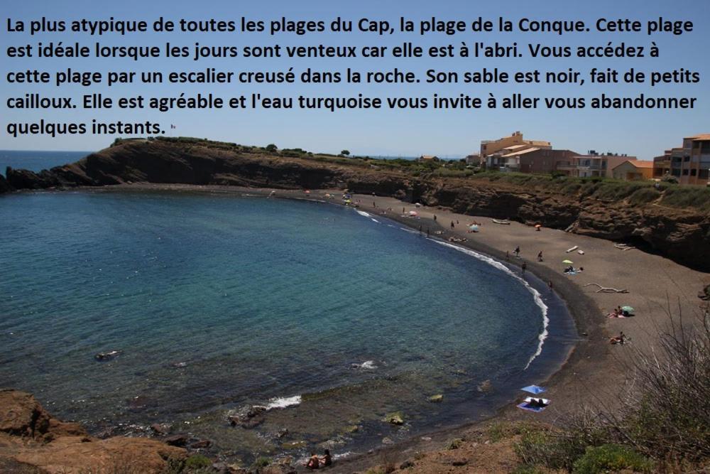 Ferienwohnung Cap D'Agde 300M Plage Du Mole,Vue Port,Parking,Lave Linge,Piscine Exterior foto